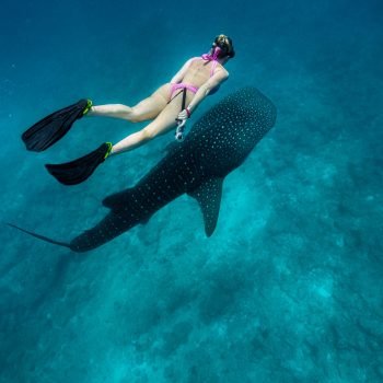 11F1E240-53AB-403C-8BC1-B033F9F2A045