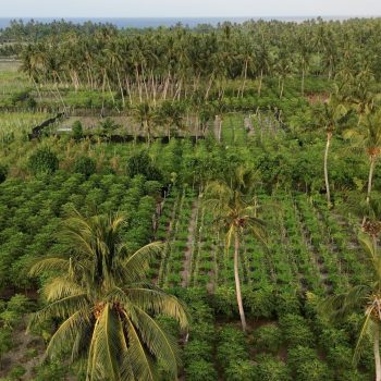 dji_fly_20250203_55819 pm_0110_1738596658602_photo